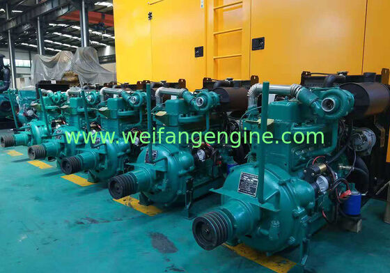 Fuel Consumption 220gkwh Weifang Diesel Engine Diesel Powered Engine Offering Consistent Output for agricultural Needs with PTO