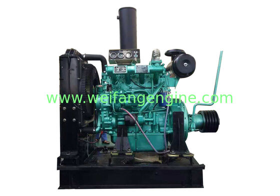 Ricardo diesel engine with clutch and belt pulley for stationary power use and agricultural use