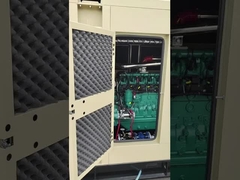 Gruppo elettrogeno di CNG/LPG/LNG/Biogas da 20KW- 500KW